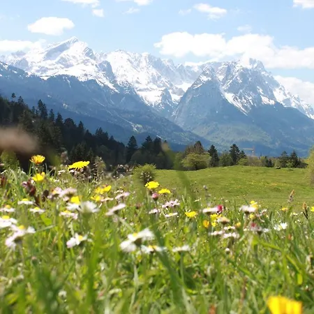 Apartment Zugspitz